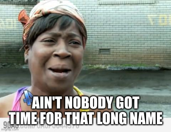 Sweet Brown | AIN'T NOBODY GOT TIME FOR THAT LONG NAME | image tagged in sweet brown | made w/ Imgflip meme maker