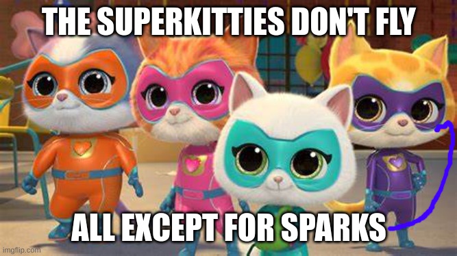 superkitties fly | THE SUPERKITTIES DON'T FLY; ALL EXCEPT FOR SPARKS | image tagged in superkitties fly | made w/ Imgflip meme maker