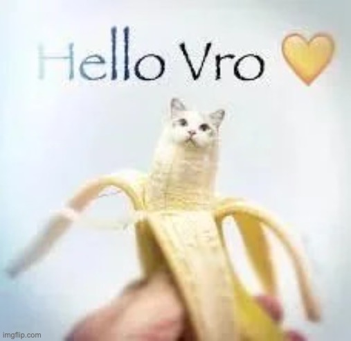 hello vroski | image tagged in hello vroski | made w/ Imgflip meme maker