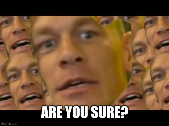 Are you sure about that | ARE YOU SURE? | image tagged in are you sure about that | made w/ Imgflip meme maker