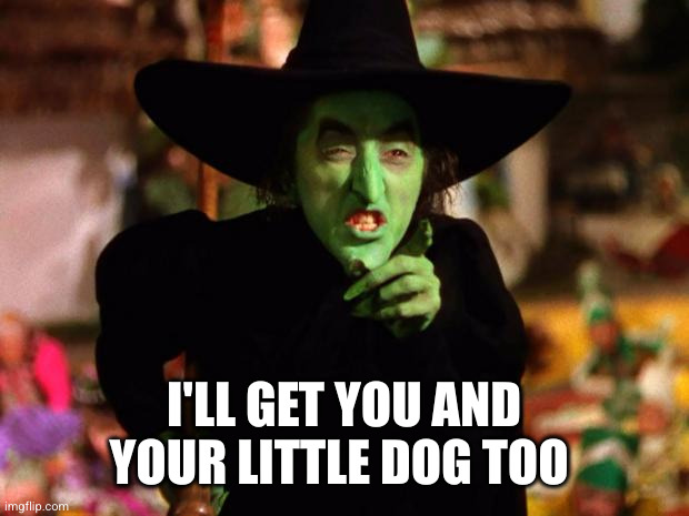 I'LL GET YOU AND YOUR LITTLE DOG TOO | image tagged in wicked witch | made w/ Imgflip meme maker