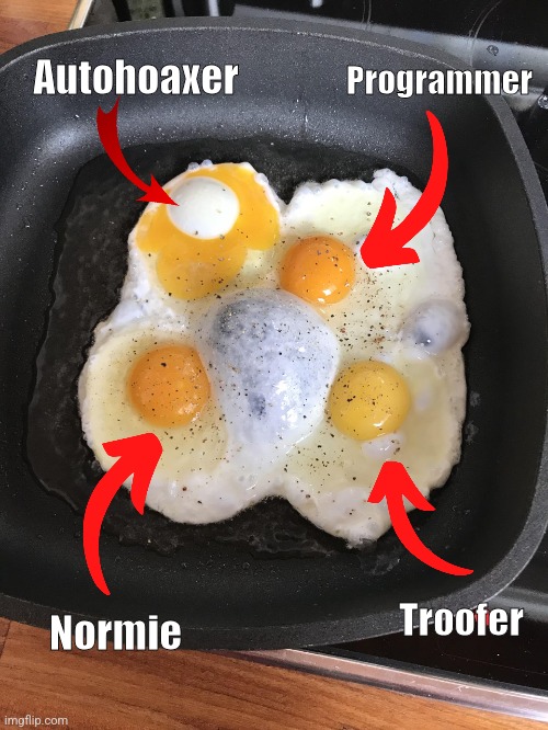 Eggs | Programmer; Autohoaxer; Troofer; Normie | image tagged in autohoax,troofer,normie,programmer | made w/ Imgflip meme maker