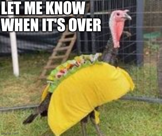 Let Me Know When It's Over | LET ME KNOW WHEN IT'S OVER | made w/ Imgflip meme maker