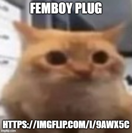 free robux (no fake) (real) (gta 7) | FEMBOY PLUG; HTTPS://IMGFLIP.COM/I/9AWX5C | image tagged in spoingus | made w/ Imgflip meme maker