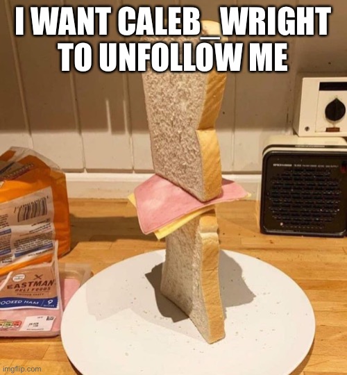 Standwich | I WANT CALEB_WRIGHT TO UNFOLLOW ME | image tagged in standwich | made w/ Imgflip meme maker