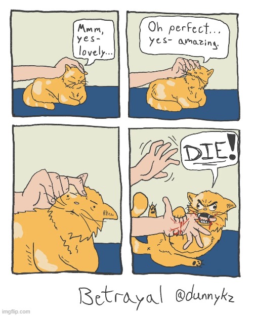 image tagged in cat,pat,hand,bite,scratch,blood | made w/ Imgflip meme maker