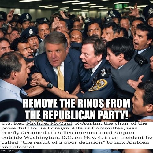 REMOVE EVERY RINO FROM THE REPUBLICAN PARTY! | REMOVE THE RINOS FROM
THE REPUBLICAN PARTY! | made w/ Imgflip meme maker