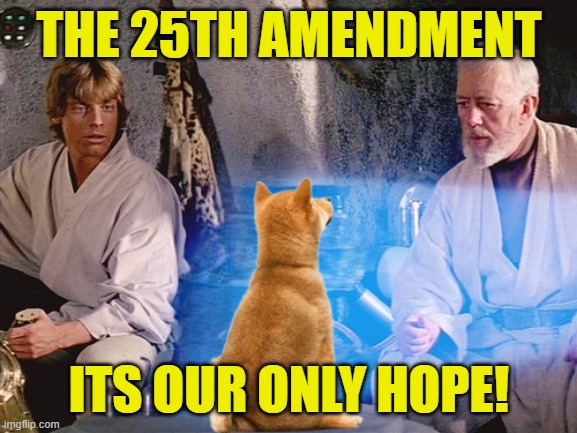 25th Amendment NOW | THE 25TH AMENDMENT; ITS OUR ONLY HOPE! | image tagged in dementia,the constitution,nuclear war,fjb,ukraine,russia | made w/ Imgflip meme maker