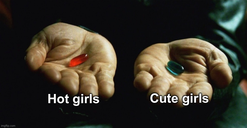 Choose wisely | Hot girls; Cute girls | image tagged in red pill blue pill | made w/ Imgflip meme maker