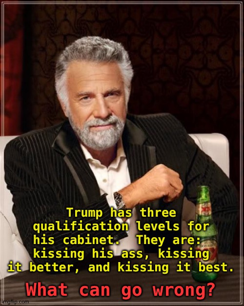 What can go wrong? | Trump has three qualification levels for his cabinet.  They are:  kissing his ass, kissing it better, and kissing it best. What can go wrong? | image tagged in memes,the most interesting man in the world | made w/ Imgflip meme maker