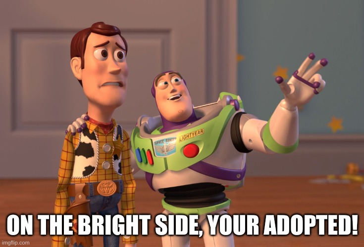 Bruh | ON THE BRIGHT SIDE, YOUR ADOPTED! | image tagged in memes,x x everywhere | made w/ Imgflip meme maker