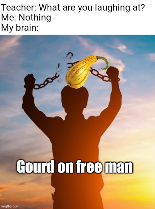 I know this moment might not be most convenient for a heart to heart | Teacher: What are you laughing at?
Me: Nothing
My brain:; Gourd on free man | image tagged in half life,fun,teacher what are you laughing at | made w/ Imgflip meme maker