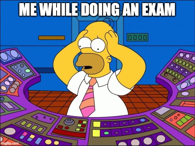 Homer Panic | ME WHILE DOING AN EXAM | image tagged in homer panic | made w/ Imgflip meme maker