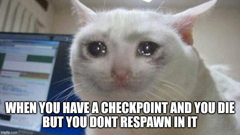 WHEN YOU HAVE A CHECKPOINT AND YOU DIE
BUT YOU DONT RESPAWN IN IT | image tagged in memes,funny memes,crying cat,gaming | made w/ Imgflip meme maker