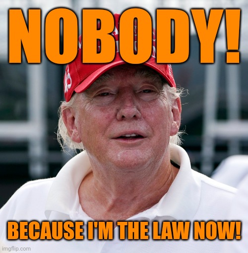 Trump August 2022 Old, haggard, arrest, treason | NOBODY! BECAUSE I'M THE LAW NOW! | image tagged in trump august 2022 old haggard arrest treason | made w/ Imgflip meme maker