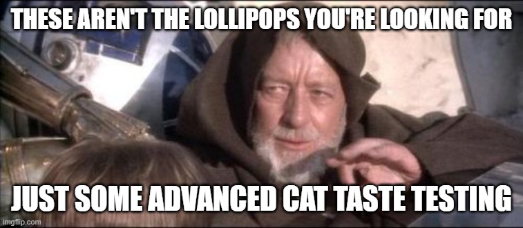 These Aren't The Droids You Were Looking For | THESE AREN'T THE LOLLIPOPS YOU'RE LOOKING FOR; JUST SOME ADVANCED CAT TASTE TESTING | image tagged in memes,these aren't the droids you were looking for | made w/ Imgflip meme maker