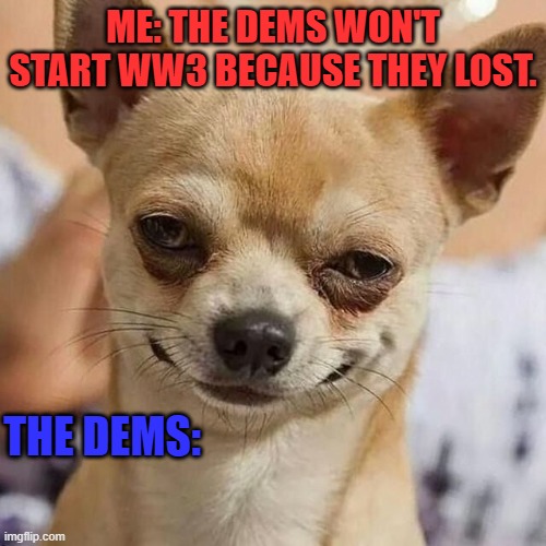 Smirking Dog | ME: THE DEMS WON'T START WW3 BECAUSE THEY LOST. THE DEMS: | image tagged in smirking dog | made w/ Imgflip meme maker