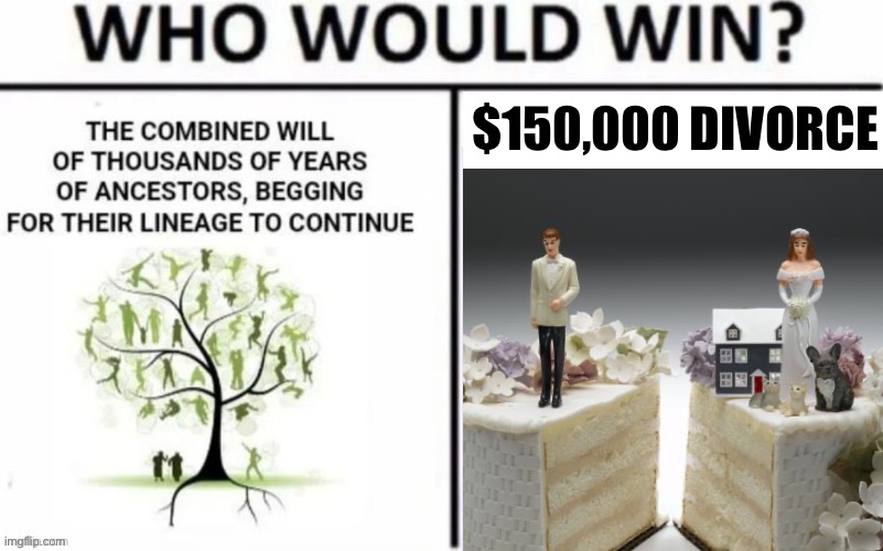 Not worth it. | $150,000 DIVORCE | made w/ Imgflip meme maker