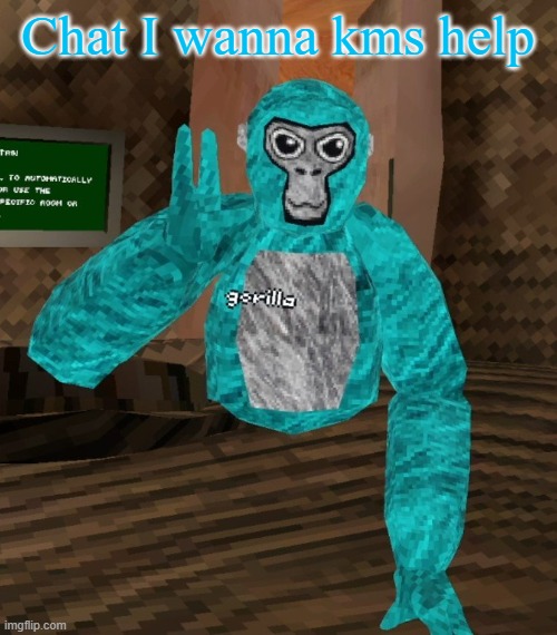 Monkey | Chat I wanna kms help | image tagged in monkey | made w/ Imgflip meme maker