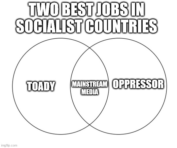 venn diagram | TOADY MAINSTREAM MEDIA OPPRESSOR TWO BEST JOBS IN SOCIALIST COUNTRIES | image tagged in venn diagram | made w/ Imgflip meme maker