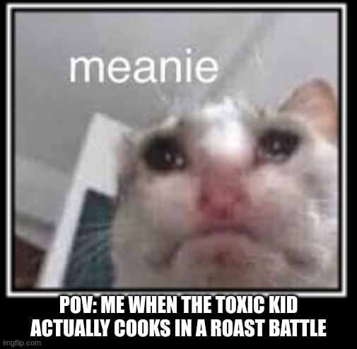 Roast Battle moments gone wrong | POV: ME WHEN THE TOXIC KID ACTUALLY COOKS IN A ROAST BATTLE | image tagged in toxic kid,meanie | made w/ Imgflip meme maker