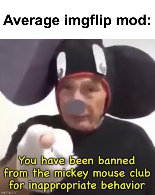 Average imgflip mod | Average imgflip mod: | image tagged in banned from the mickey mouse club | made w/ Imgflip meme maker