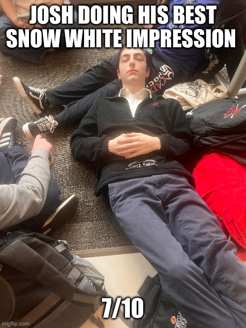 JOSH DOING HIS BEST SNOW WHITE IMPRESSION; 7/10 | image tagged in fun | made w/ Imgflip meme maker