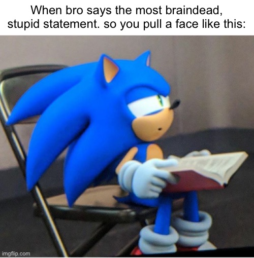 Like, really? | When bro says the most braindead, stupid statement. so you pull a face like this: | image tagged in sonic | made w/ Imgflip meme maker