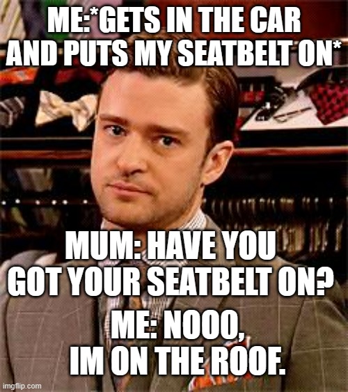 Really! | ME:*GETS IN THE CAR AND PUTS MY SEATBELT ON*; MUM: HAVE YOU GOT YOUR SEATBELT ON? ME: NOO0, IM ON THE ROOF. | image tagged in really,mum,seriously,funny,memes | made w/ Imgflip meme maker