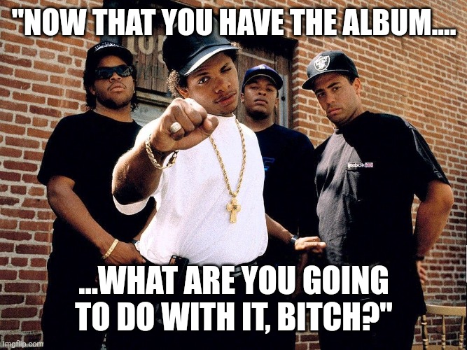 NWA | "NOW THAT YOU HAVE THE ALBUM.... ...WHAT ARE YOU GOING TO DO WITH IT, BITCH?" | image tagged in nwa | made w/ Imgflip meme maker