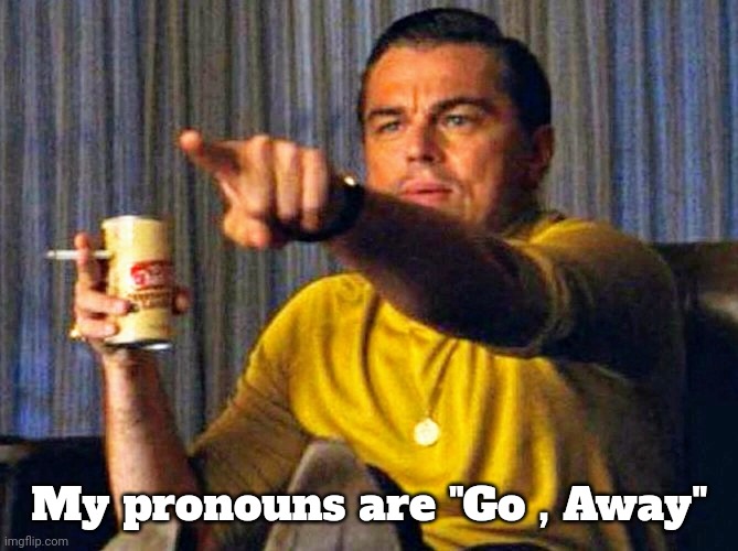 Leonardo Dicaprio pointing at tv | My pronouns are "Go , Away" | image tagged in leonardo dicaprio pointing at tv | made w/ Imgflip meme maker