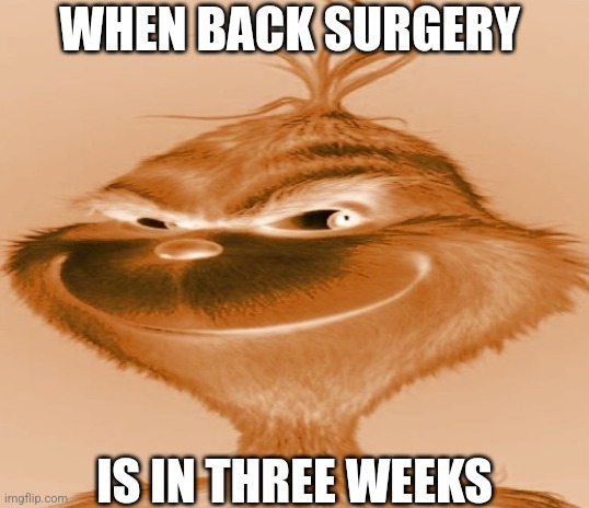 genuine announcement | WHEN BACK SURGERY; IS IN THREE WEEKS | made w/ Imgflip meme maker