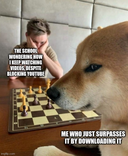 some dumbasses they are | THE SCHOOL WONDERING HOW I KEEP WATCHING VIDEOS, DESPITE BLOCKING YOUTUBE; ME WHO JUST SURPASSES IT BY DOWNLOADING IT | image tagged in chess doge | made w/ Imgflip meme maker