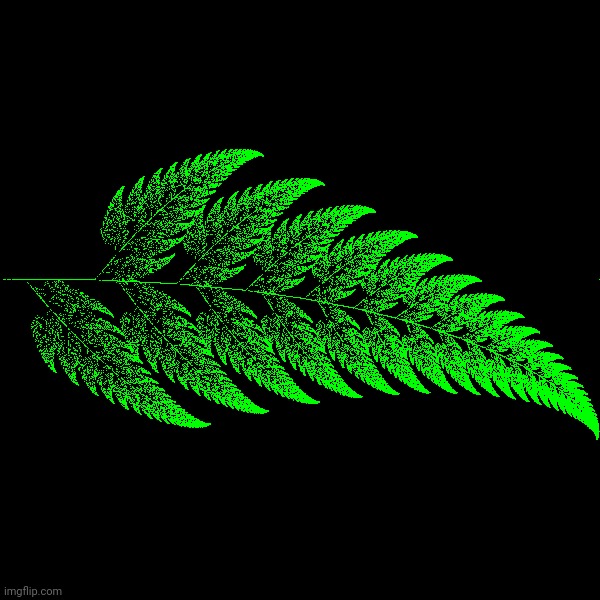 have a Barnsley fern for zero reason xdddyrr | made w/ Imgflip meme maker