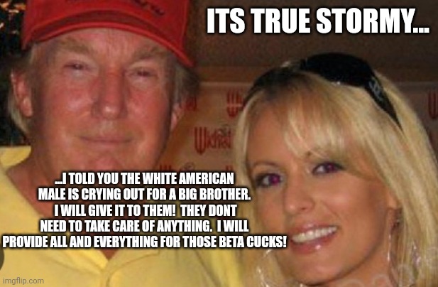 Side chick | ITS TRUE STORMY... ...I TOLD YOU THE WHITE AMERICAN MALE IS CRYING OUT FOR A BIG BROTHER.  I WILL GIVE IT TO THEM!  THEY DONT NEED TO TAKE C | image tagged in side chick | made w/ Imgflip meme maker