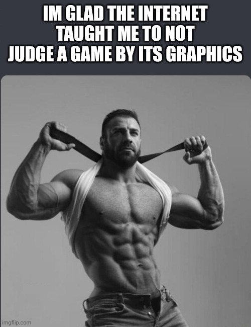 IM GLAD THE INTERNET TAUGHT ME TO NOT JUDGE A GAME BY ITS GRAPHICS | image tagged in refuses to elaborate any further | made w/ Imgflip meme maker