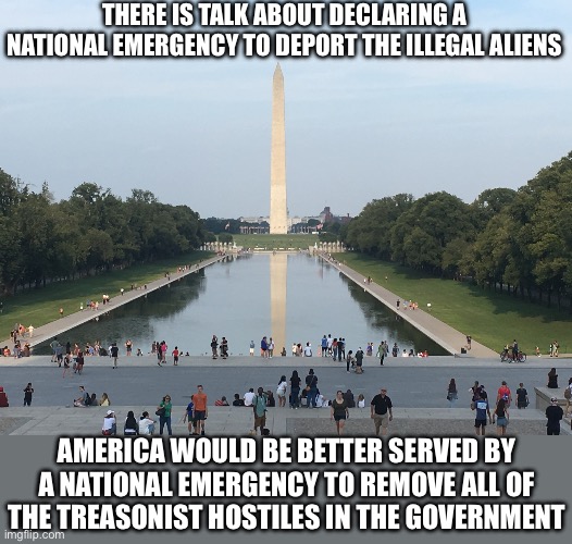 THERE IS TALK ABOUT DECLARING A NATIONAL EMERGENCY TO DEPORT THE ILLEGAL ALIENS; AMERICA WOULD BE BETTER SERVED BY A NATIONAL EMERGENCY TO REMOVE ALL OF THE TREASONIST HOSTILES IN THE GOVERNMENT | image tagged in illegal immigration,political meme,treason,sad but true,america first | made w/ Imgflip meme maker