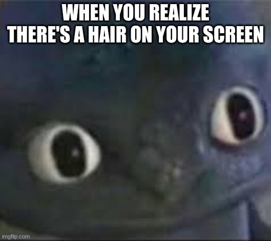 Toothless ._. face | WHEN YOU REALIZE THERE'S A HAIR ON YOUR SCREEN | image tagged in toothless _ face | made w/ Imgflip meme maker