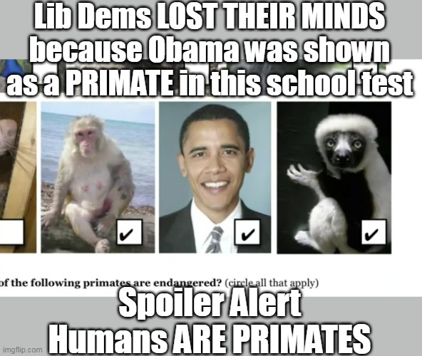 Lib Dems LOST THEIR MINDS because Obama was shown as a PRIMATE in this school test Spoiler Alert Humans ARE PRIMATES | made w/ Imgflip meme maker