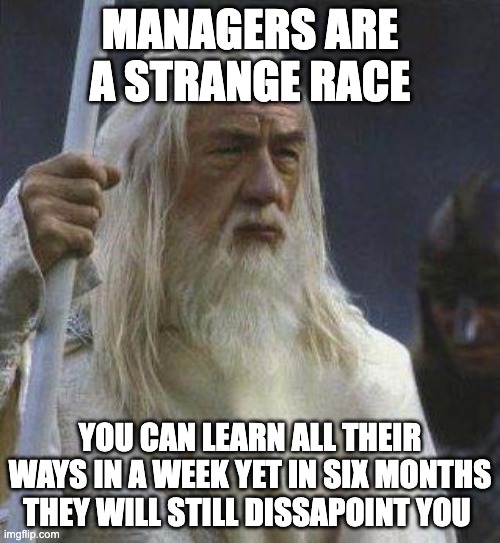 gandalf | MANAGERS ARE A STRANGE RACE; YOU CAN LEARN ALL THEIR WAYS IN A WEEK YET IN SIX MONTHS THEY WILL STILL DISSAPOINT YOU | image tagged in gandalf | made w/ Imgflip meme maker