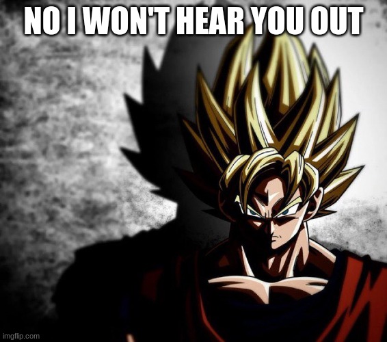 Goku stare | NO I WON'T HEAR YOU OUT | image tagged in goku stare | made w/ Imgflip meme maker