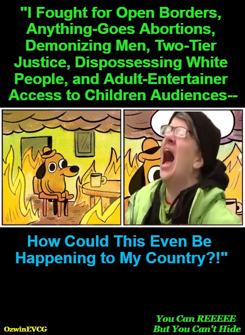 You ... Hide | "I Fought for Open Borders, 

Anything-Goes Abortions, 

Demonizing Men, Two-Tier 

Justice, Dispossessing White 

People, and Adult-Entertainer 

Access to Children Audiences--; How Could This Even Be 

Happening to My Country?!"; You Can REEEEE 

But You Can't Hide; OzwinEVCG | image tagged in this is fine,screaming liberal,clown world,leftist illogic,world occupied,invasion of the mind snatchers | made w/ Imgflip meme maker