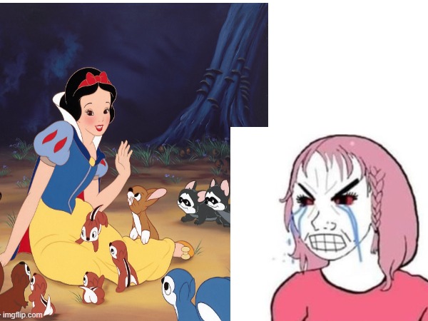 rachel zegler hate  snowwhite | image tagged in wojak,funny | made w/ Imgflip meme maker