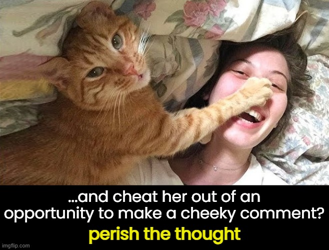 perish the thought ...and cheat her out of an opportunity to make a cheeky comment? | made w/ Imgflip meme maker