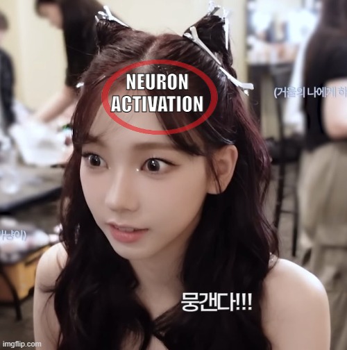 Karina Neuron Activation | NEURON ACTIVATION | image tagged in neuron activation | made w/ Imgflip meme maker