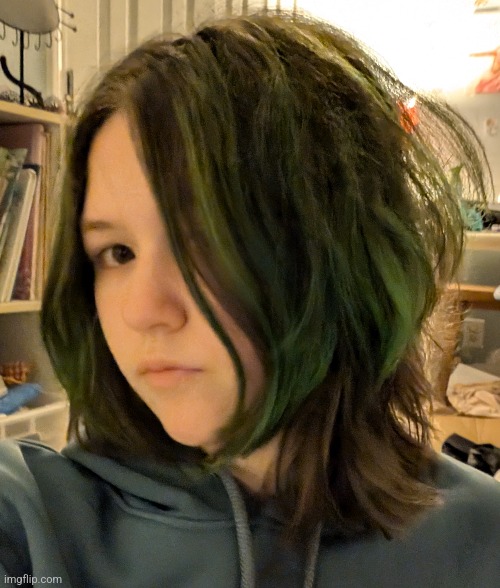 hair got cut and now i look emo (edit: it looks so much worse rn I hate it) | made w/ Imgflip meme maker