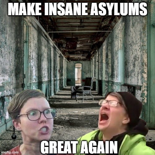 MAKE INSANE ASYLUMS; GREAT AGAIN | made w/ Imgflip meme maker