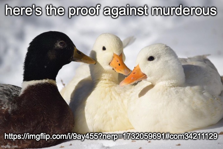 https://imgflip.com/i/9ay455?nerp=1732059691#com34211129 | here's the proof against murderous; https://imgflip.com/i/9ay455?nerp=1732059691#com34211129 | image tagged in dunkin ducks | made w/ Imgflip meme maker