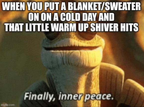 feels so nice tho | WHEN YOU PUT A BLANKET/SWEATER ON ON A COLD DAY AND THAT LITTLE WARM UP SHIVER HITS | image tagged in finally inner peace,relatable,relatable memes,cold weather,northernlife | made w/ Imgflip meme maker