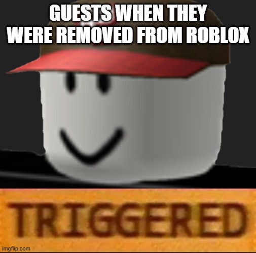 IDK... | GUESTS WHEN THEY WERE REMOVED FROM ROBLOX | image tagged in roblox triggered,guests,roblox,roblox meme | made w/ Imgflip meme maker